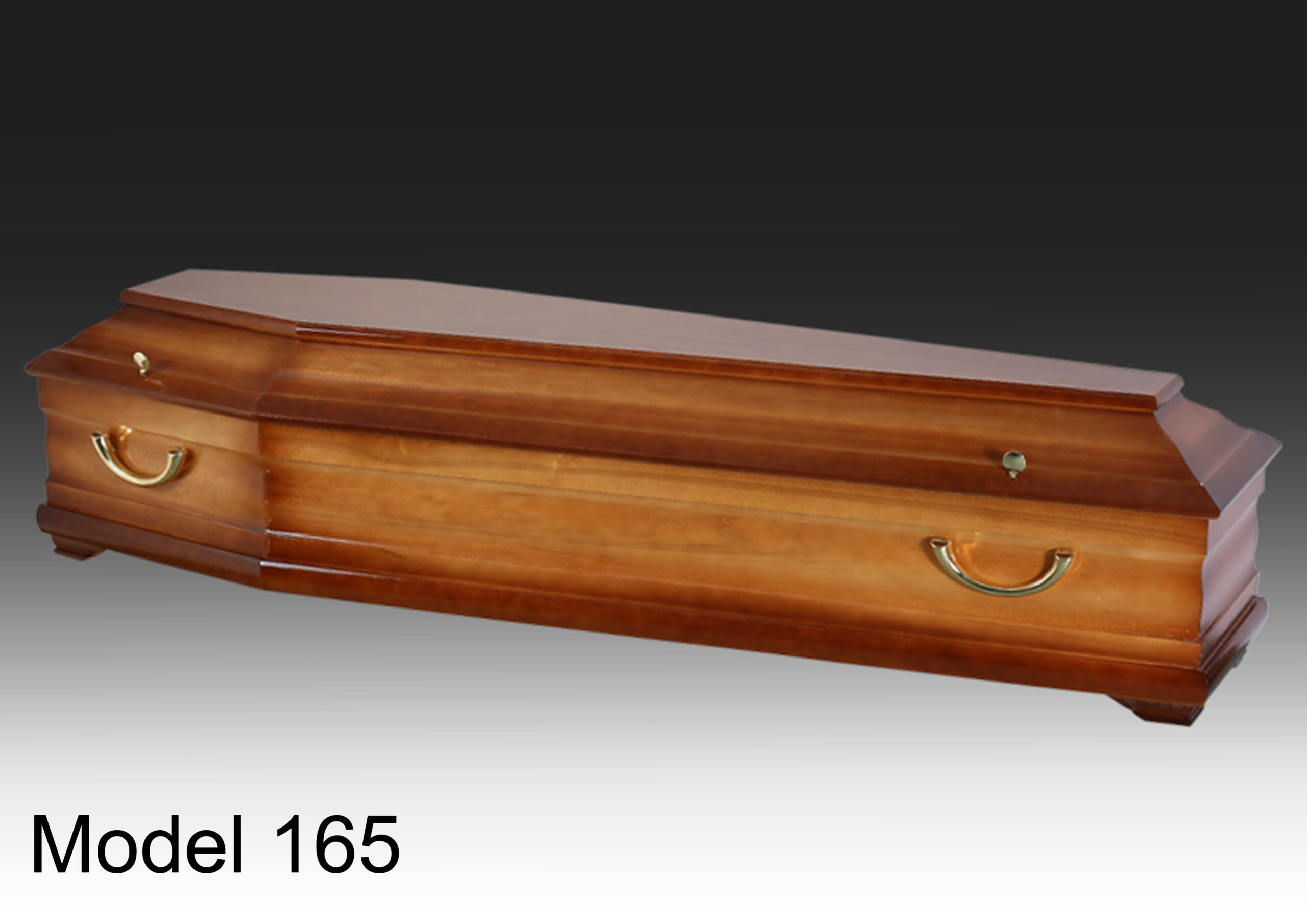 Model 165